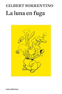 La luna en fuga - Gilbert Sorrentino - E-Book