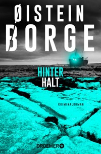 Hinterhalt - Øistein Borge - E-Book