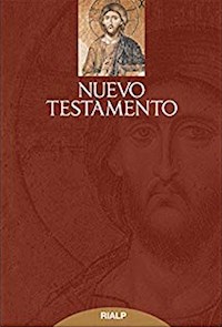 Nuevo Testamento - Varios autores - E-Book