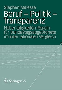 Beruf - Politik - Transparenz - Stephan Malessa - E-Book