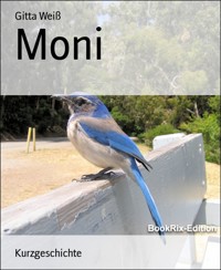 Moni - Gitta Weiß - E-Book