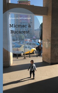 Micmac à Bucarest - Sylvain Audet-Gainar - E-Book