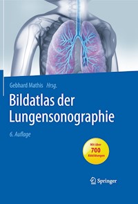 Bildatlas der Lungensonographie -  - E-Book