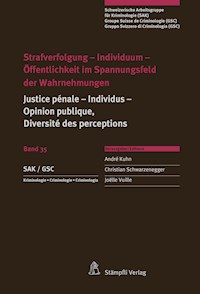 Strafverfolgung - Individuum - Öffentlichkeit im Spannungsfeld der Wahrnehmungen - Lorenz Biberstein - E-Book