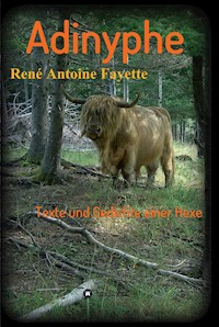 Adinyphe - René Antoine Fayette - E-Book