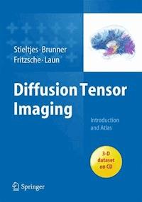 Diffusion Tensor Imaging - Bram Stieltjes - E-Book