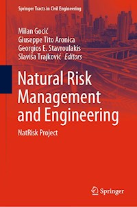 Natural Risk Management and Engineering - - E-Book