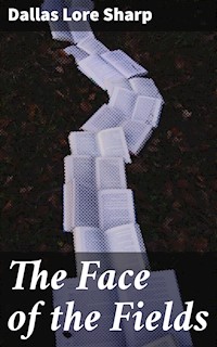 The Face of the Fields - Dallas Lore Sharp - E-Book