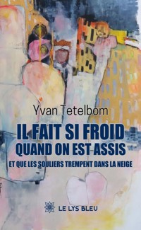 Il fait si froid quand on est assis et que les souliers trempent dans la neige - Yvan Tetelbom - E-Book