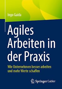 Agiles Arbeiten in der Praxis - Ingo Gaida - E-Book
