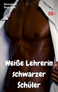 Weiße Lehrerin schwarzer Schüler - Bernadette Binkowski - E-Book