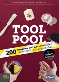 Tool Pool - Thomas Ebinger - E-Book