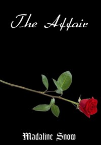 The Affair - Madaline Snow - E-Book