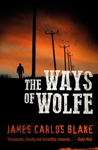The Ways of Wolfe - James Carlos Blake - E-Book