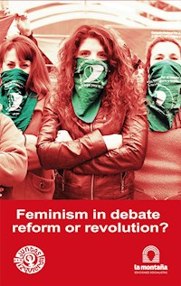 Feminism in debate, reform or revolution? - Celeste Fierro - E-Book