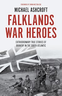 Falklands War Heroes - Michael Ashcroft - E-Book