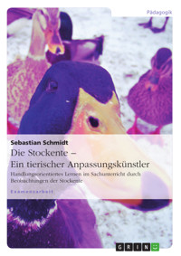 Die Stockente – ein tierischer Anpassungskünstler - Sebastian Schmidt - E-Book