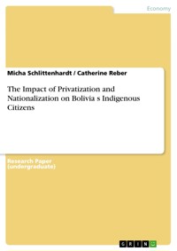 The Impact of Privatization and Nationalization on Boliviaʻs Indigenous Citizens - Micha Schlittenhardt - E-Book