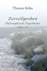 Zerreißproben - Thomas Kuhn - E-Book