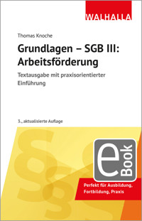 Grundlagen - SGB III: Arbeitsförderung - Thomas Knoche - E-Book