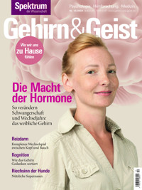 Gehirn&Geist 12/2024 Die Macht der Hormone -  - E-Book