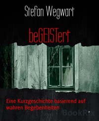 beGEISTert - Stefan Wegwart - E-Book