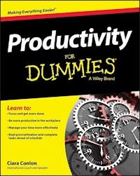 Productivity For Dummies - Ciara Conlon - E-Book