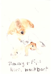 Jimmy und Fips - Karin Hackbart - E-Book