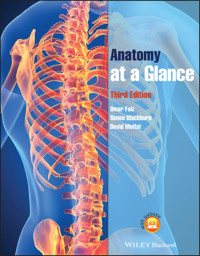 Anatomy at a Glance - Omar Faiz - E-Book