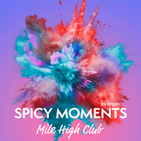 Mile High Club - Erotische Geschichte - spicy moments, Band 25 (Ungekürzte Lesung) - spicy moments by argon - Hörbuch