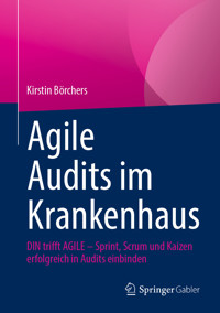 Agile Audits im Krankenhaus - Kirstin Börchers - E-Book