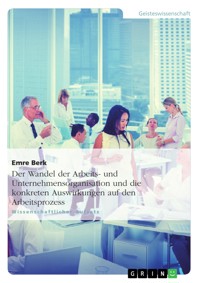 Der Wandel der Arbeits- und Unternehmensorganisation und die konkreten Auswirkungen auf den Arbeitsprozess - Emre Berk - E-Book
