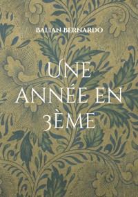 Une année en 3ème - Balian Bernardo - E-Book