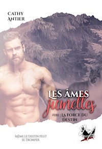 Les âmes jumelles - Tome 3 - Cathy Antier - E-Book