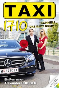 Taxi 1710 - Alexander Rüdiger - E-Book