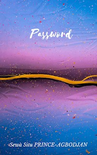 Password - Sewa Situ Prince-Agbodjan - E-Book