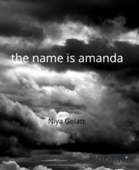the name is amanda - Niya Golatt - kostenlos E-Book
