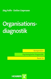 Organisationsdiagnostik - Jörg Felfe - E-Book