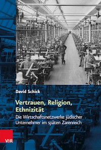 Vertrauen, Religion, Ethnizität - David Schick - E-Book