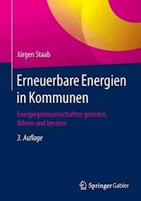 Erneuerbare Energien in Kommunen - Jürgen Staab - E-Book