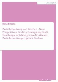 Zwischennutzung von Brachen - Neue Perspektiven für die schrumpfende Stadt. Handlungsempfehlungen an die Akteure: Zwischennutzungen gezielt Fördern - Nenad Rosic - E-Book