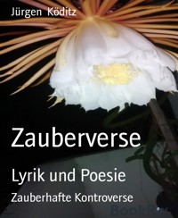 Zauberverse - Jürgen Köditz - E-Book
