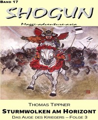 Sturmwolken am Horizont - Thomas Tippner - E-Book