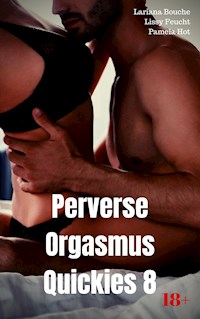 Perverse Orgasmus Quickies 8 - Lariana Bouche - E-Book