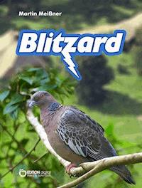 Blitzard - Martin Meißner - E-Book