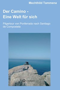 Der Camino - Eine Welt für sich - Mechthild Tammena - E-Book