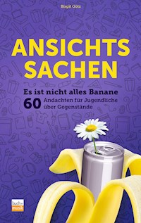 Ansichtssachen - Birgit Götz - E-Book