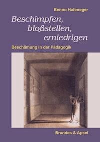 Beschimpfen, bloßstellen, erniedrigen - Benno Hafeneger - E-Book