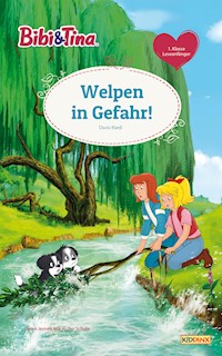 Bibi & Tina - Welpen in Gefahr! - Doris Riedl - E-Book
