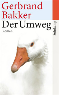 Der Umweg - Gerbrand Bakker - E-Book